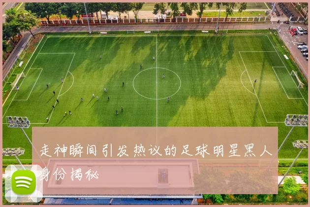 走神瞬间引发热议的足球明星黑人身份揭秘