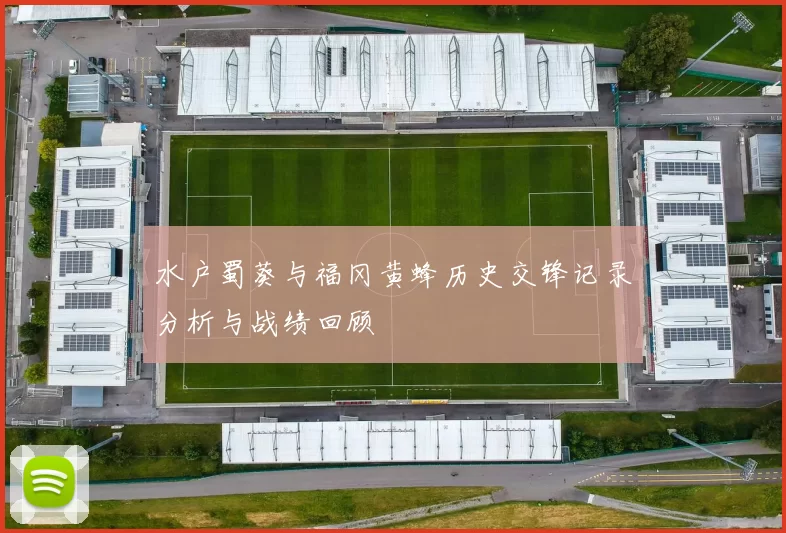 水户蜀葵与福冈黄蜂历史交锋记录分析与战绩回顾