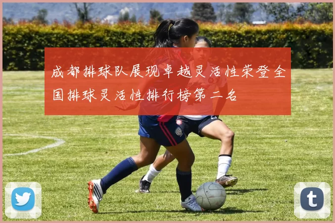 成都排球队展现卓越灵活性荣登全国排球灵活性排行榜第二名