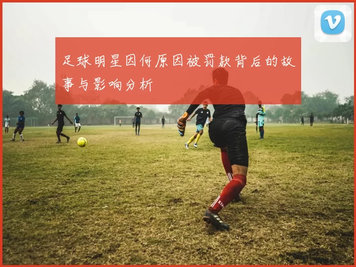 足球明星因何原因被罚款背后的故事与影响分析
