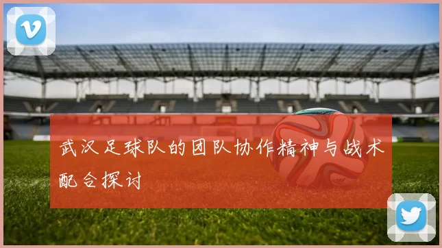 武汉足球队的团队协作精神与战术配合探讨