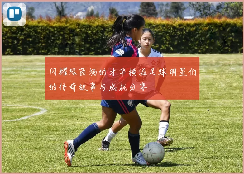 闪耀绿茵场的才华横溢足球明星们的传奇故事与成就分享