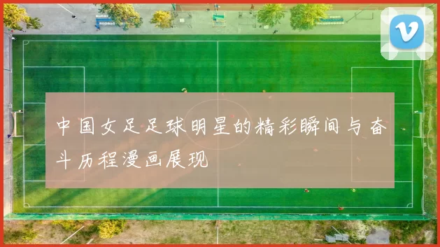 中国女足足球明星的精彩瞬间与奋斗历程漫画展现
