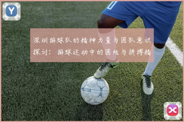 深圳排球队的精神力量与团队意识探讨：排球运动中的团结与拼搏精神