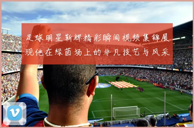 足球明星靳辉精彩瞬间视频集锦展现他在绿茵场上的非凡技艺与风采