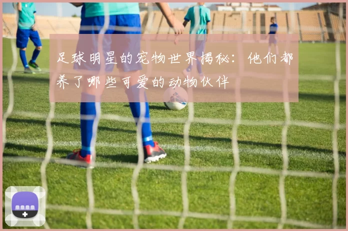 足球明星的宠物世界揭秘：他们都养了哪些可爱的动物伙伴