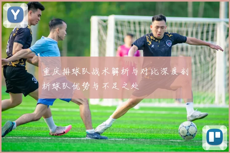 重庆排球队战术解析与对比深度剖析球队优势与不足之处