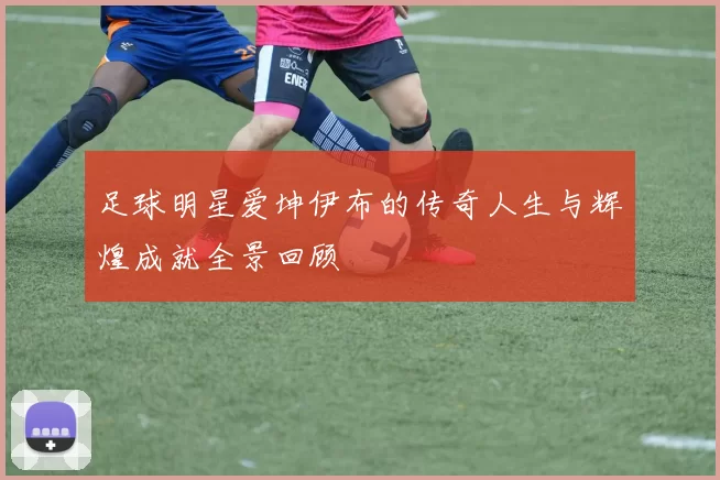 足球明星爱坤伊布的传奇人生与辉煌成就全景回顾